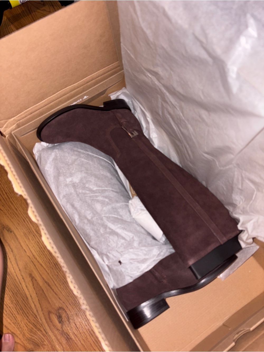NWT Dolce Vita - Kilian H20 boots